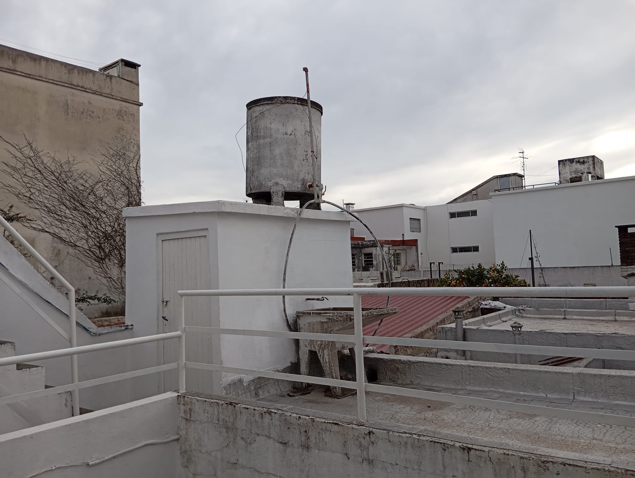 Alquiler de hermosa casa en Buceo, 4 dormitorios, y garage. en Buceo