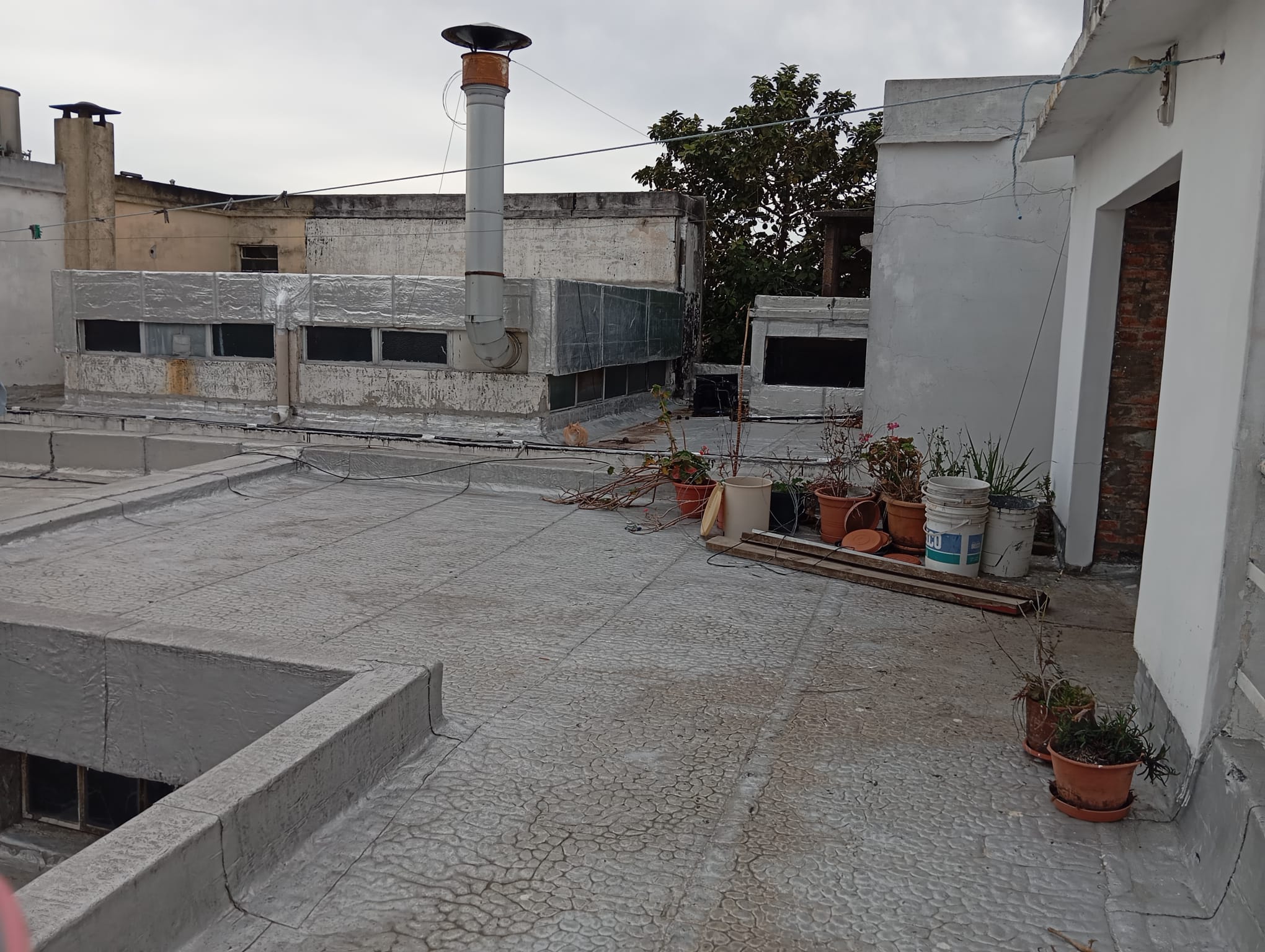 Alquiler de hermosa casa en Buceo, 4 dormitorios, y garage. en Buceo