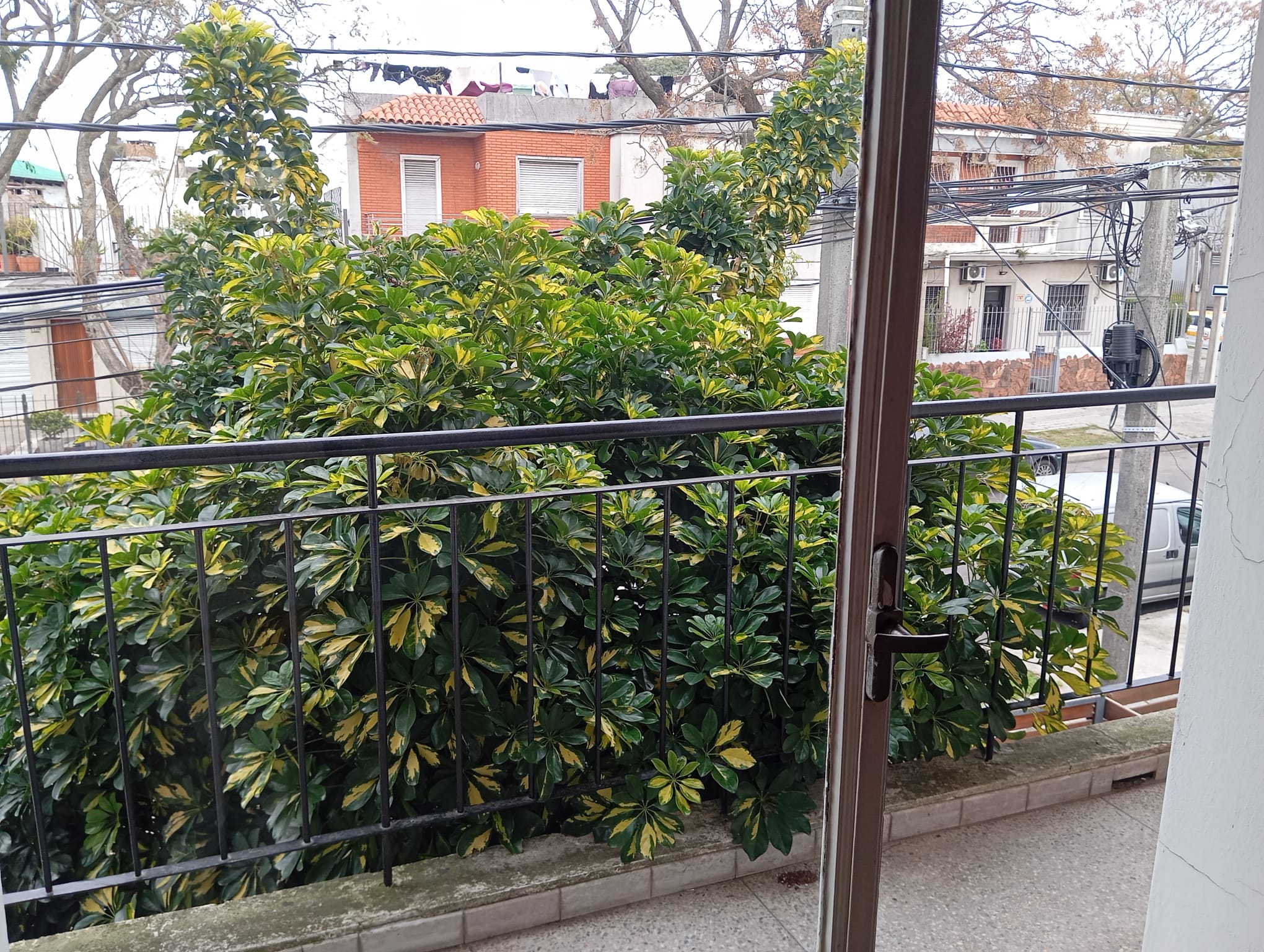 Alquiler de hermosa casa en Buceo, 4 dormitorios, y garage. en Buceo