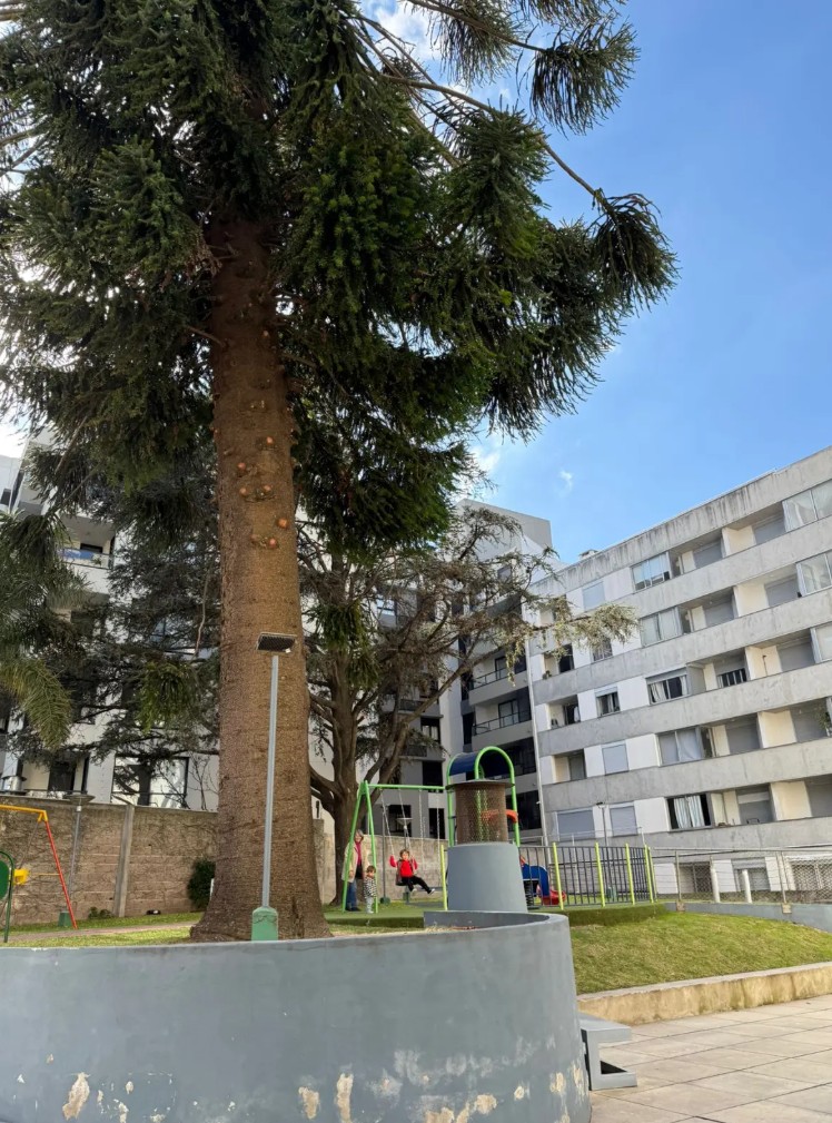 Venta de apartamento de 2 dormitorios con cochera en Cordón en Cordón